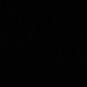 Meet your Posher, Genesis